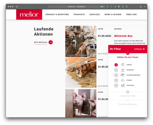 Melior