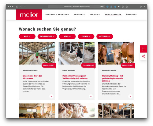 Melior